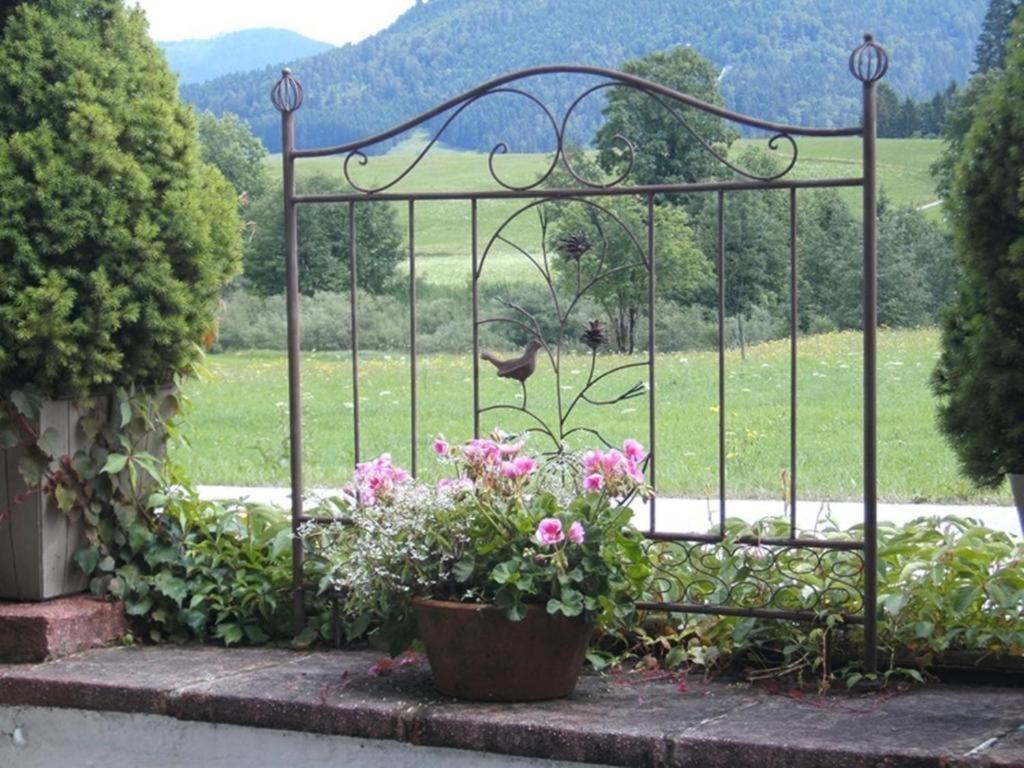 Hotel Pension Louise Reit im Winkl Exterior foto